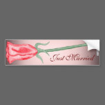 Red Rose (2) bumper stickers