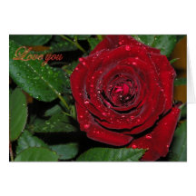 Red Rose #2 Greeting Card