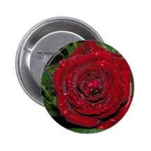 Red Rose #2 Pins