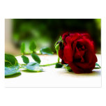 Red Rose ACEO Art Trading Cards Business Cards