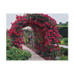 Red Rose Arches Yellow flowers Post Cards