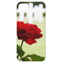Red Rose at Cemetery iPhone 5 Cover