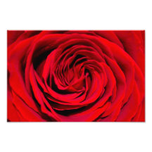 Red Rose Background Art Photo