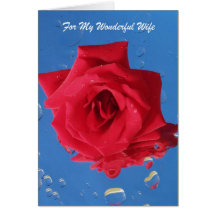 Red Rose "Birthday Card for Wife"