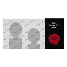 Red Rose. Black Background. Personalized Photo Card