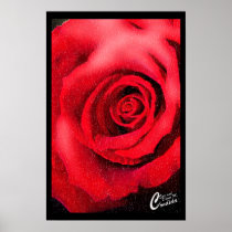Red Rose (Black Border) Posters