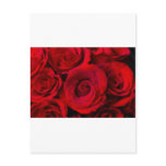 Red Rose Bouquet Dream Post Cards