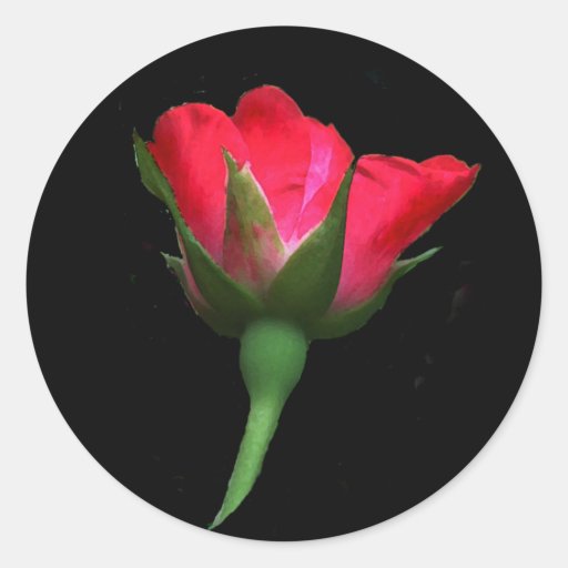 Red Rose Bud Stickers
