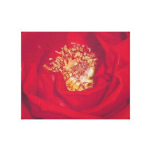 Red Rose Gallery Wrapped Canvas