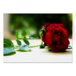 Red Rose Cards