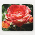 Red Rose Flower Mousepad