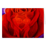 Red Rose Flower Painting Art - Multi Card