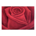 Red Rose Flower Painting - Multi Greeting Card
