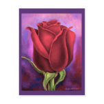 Red Rose Flower Painting - Multi Post Cards