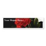 Red Rose From My Balcony Garden Bumper Sticker
