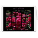 red rose garden cards