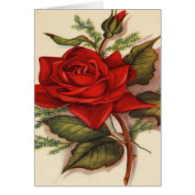 Red Rose Greeting Cards