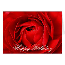 RED ROSE - HAPPY BIRTHDAY GREETING CARDS