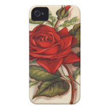Red Rose iPhone 4 Cover