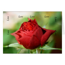 Red Rose Love, Love, Love, Love, Love, Love Card