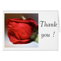 Red Rose Macro Photography Card