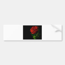 Red Rose Macro Still Image Studio Photo Bumper Sticker