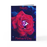 Red Rose - Mother's Day Card