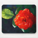 Red rose mousepad