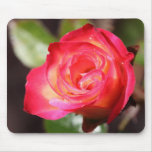 Red Rose Mousepads