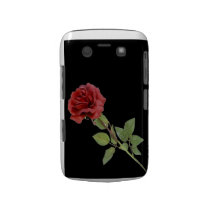 Red Rose on Black Blackberry Bold Case