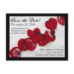Red Rose Petals in Snow, Winter Wedding postcards