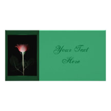 Red Rose Photo Card