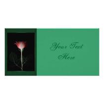 Red Rose Photo Card