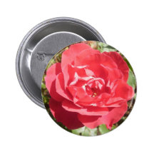 Red Rose Pins
