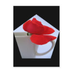 Red Rose postcard