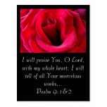 RED ROSE POSTCARD