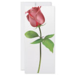 Red Rose. rack cards