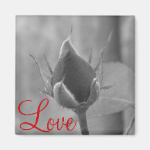 Red Rose Refrigerator Magnet