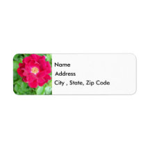 Red Rose Return Address Label