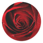 Red Rose Seals Round Stickers