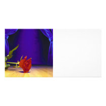 Red Rose, Stage & Curtains
