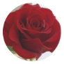 Red Rose Sticker