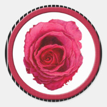 Red Rose stripes Sticker