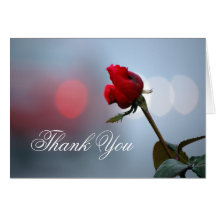 Red Rose Thank You Cards