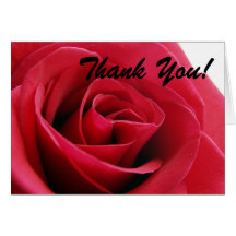 red rose, Thank You! Greeting Card