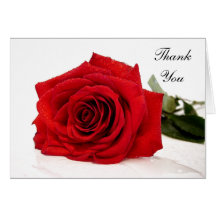 Red Rose Thank You Note Card