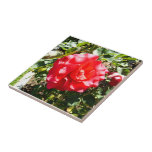 Red Rose Tile