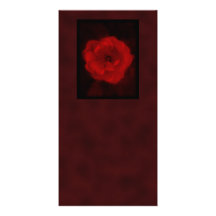 Red Rose. With Black and Deep Red. Custom Photo Card