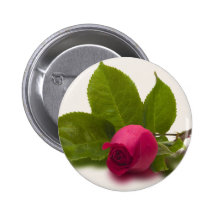 Red Rosebud Alec's Red Buttons