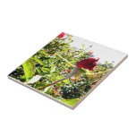 Red Roses In The Back Ceramic Tile